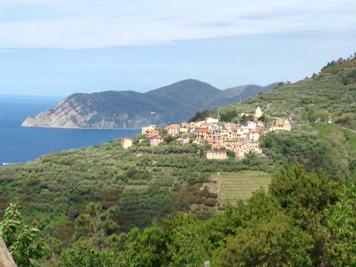 Apartamento Ca' Di Rissi - Homy 5 Terre Volastra Exterior foto